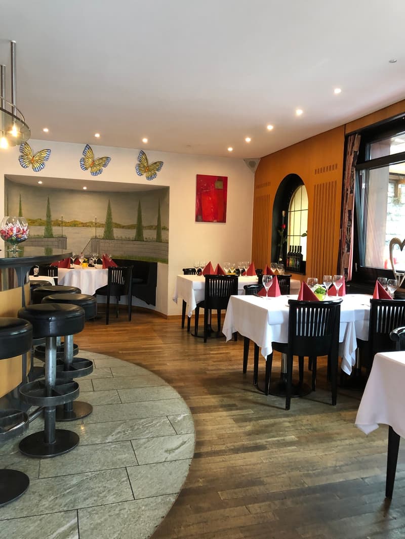 «my home is my castle» 3.5-room apartment including restaurant (12)