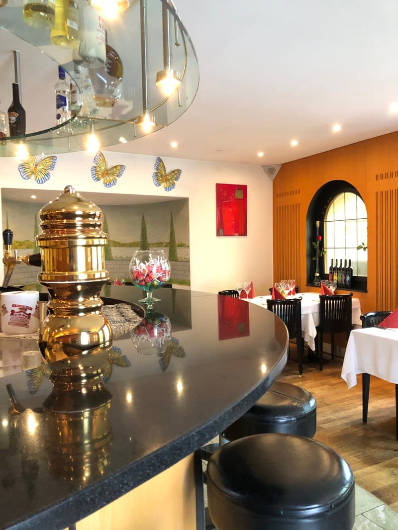 «my home is my castle» 3.5-room apartment including restaurant (14)