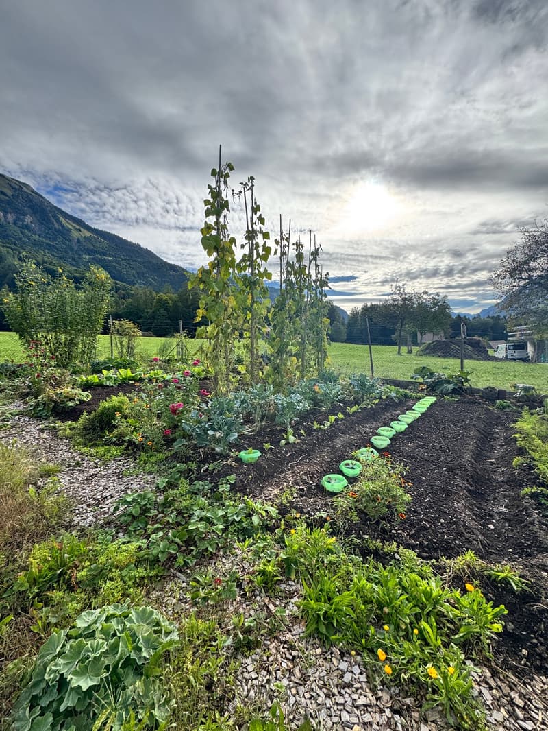 Arrive, feel good – semi-detached house with building land reserve in Hofstetten near Brienz (16)