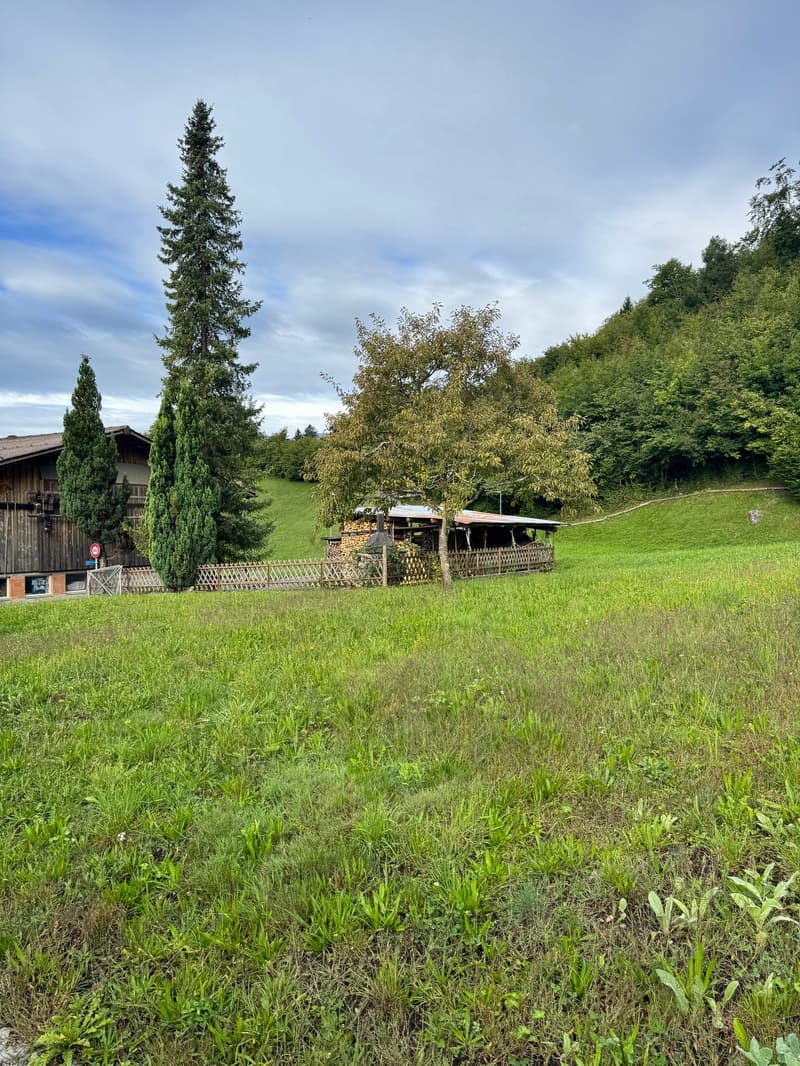 Arrive, feel good – semi-detached house with building land reserve in Hofstetten near Brienz (20)