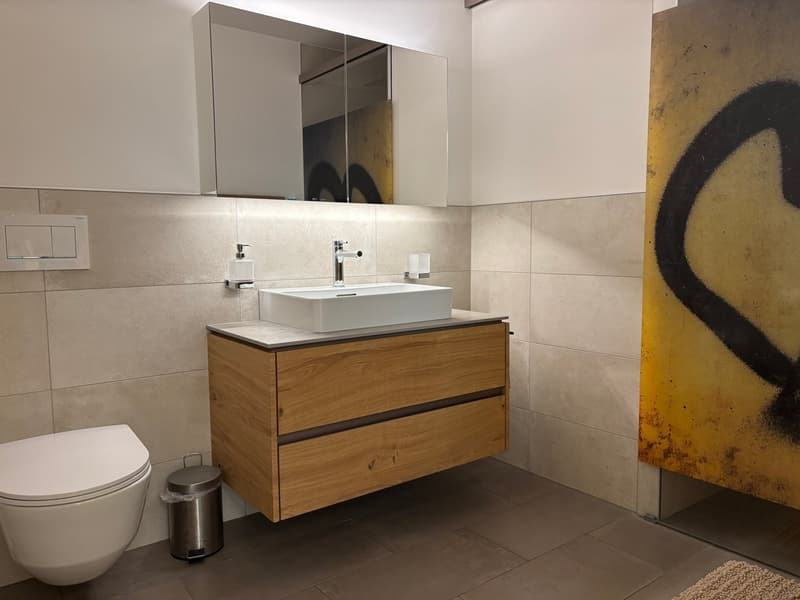 Appartement au centre de 3860 Meiringen (10)