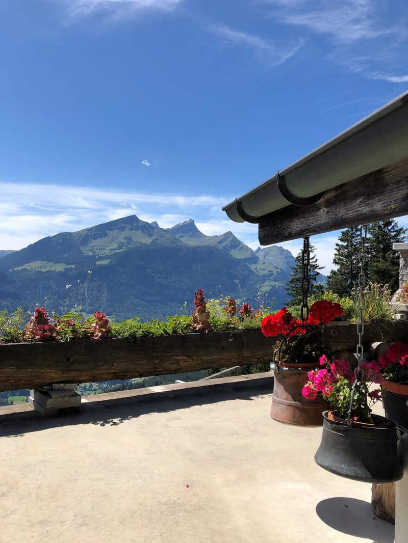 Mountain view from balcony, outdoor planter boxes with flowers, hanging flower pots
