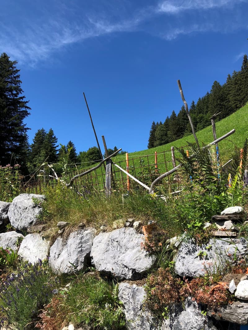rock wall with some plants, rustic fence made of branches, hillside with greenery and trees