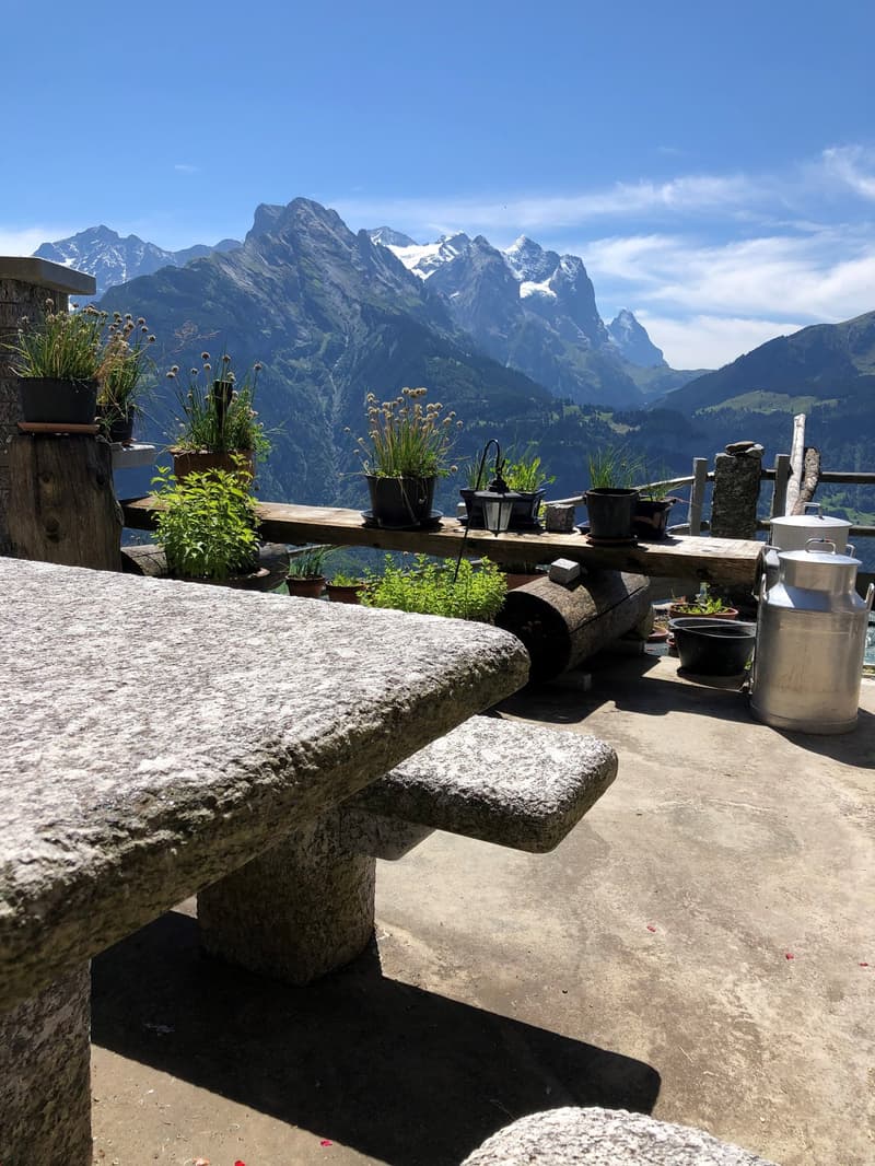 stone table and bench, several plants in black pots, wooden fence, stunning mountain view