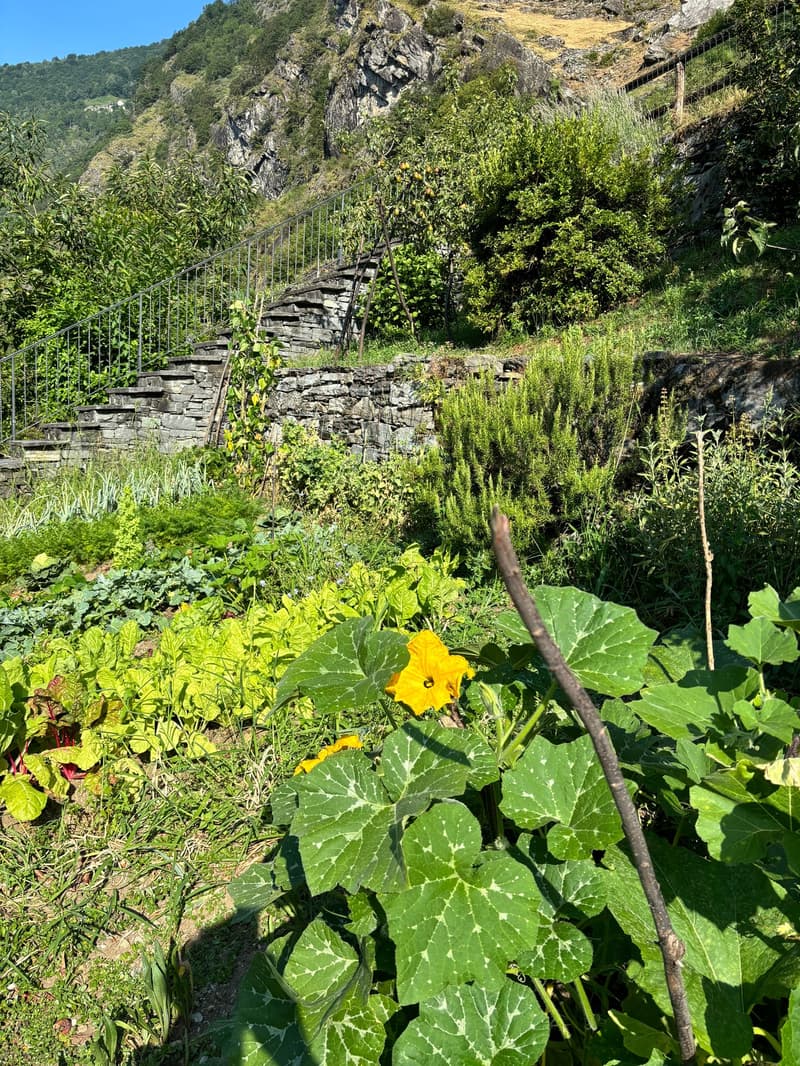 Vorinformation: Ihre Chance (14)