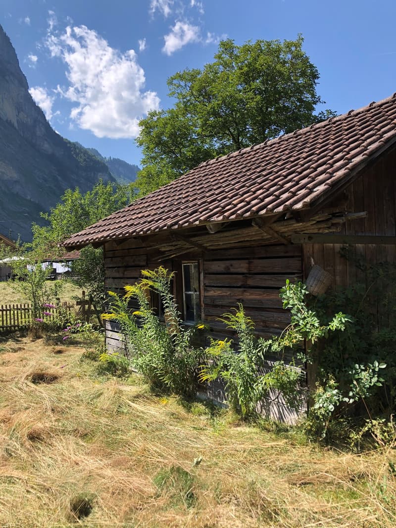 House with 2 apartments (13)