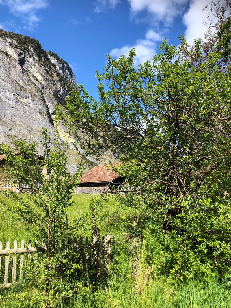 House with 2 apartments (19)