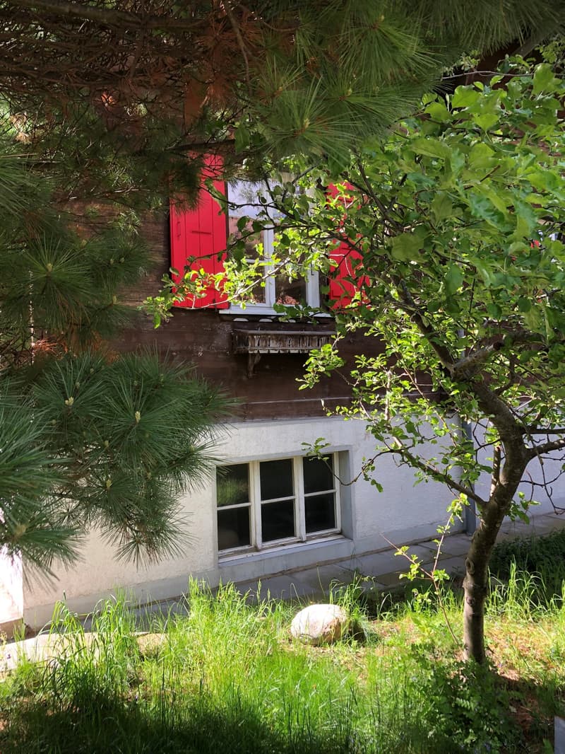House with 2 apartments (15)
