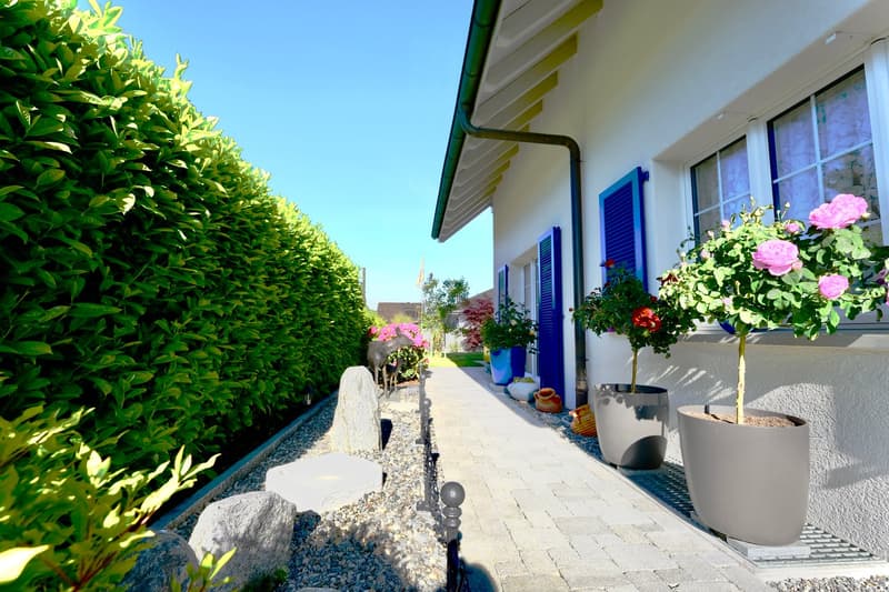 A charming, very well-maintained home with a charming garden is looking for a new owner. (5)