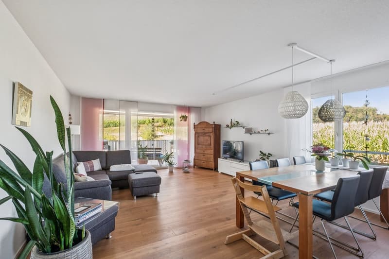 Moderne, perfekt durchdachte 31⁄2 Zimmer-Wohnung zentral und naturnah gelegen in Safenwil (1)