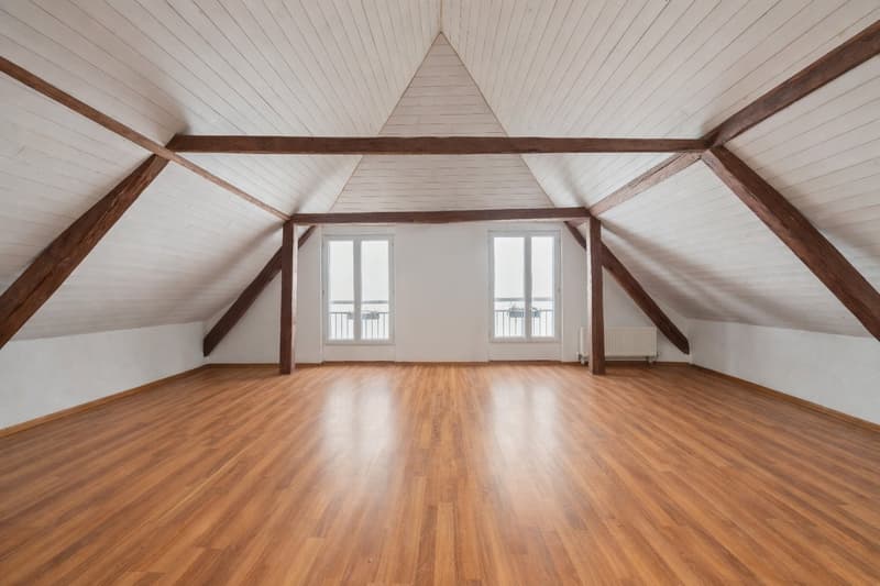 Bauernhaus mit vier Wohnungen in der Weilerzone (7)