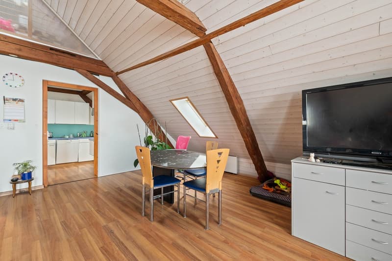Bauernhaus mit vier Wohnungen in der Weilerzone (8)