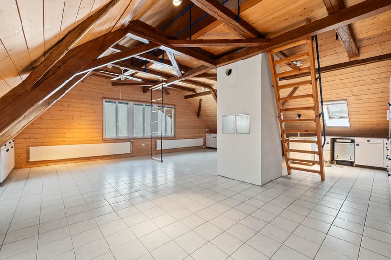 Bauernhaus mit vier Wohnungen in der Weilerzone (13)