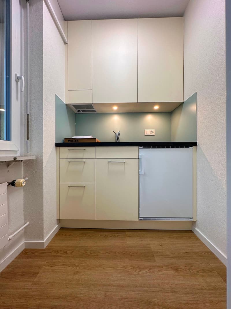 Studio mit Parkplatz im beliebten Länggasse-Quartier (5)