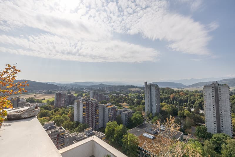 4.5-room apartment with rooftop terrace – Your new home! (18)