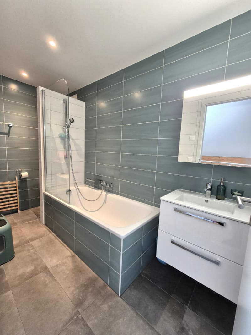 Guaranteed love at first sight! Beautiful 4.5-room duplex attic just a stone's throw from the lake (7)