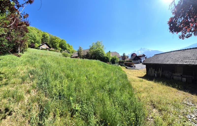 Buildable plot with exceptional view of 893 m² in Antagnes/Ollon (2)