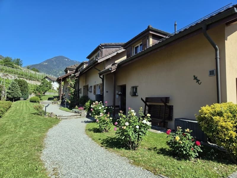 Bella casa semidetached ristrutturata con 4,5 locali, terrazza, giardino e garage (2)