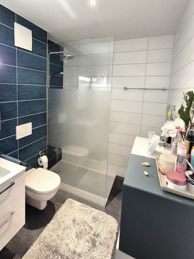 Superbe attique duplex Minergie de 4,5 pièces à deux pas du lac (8)