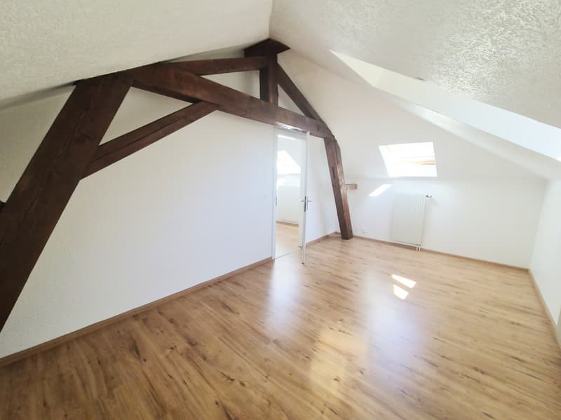 Maison de 2 appartements 3,5 pièces + 1 studio indépendant, Grand potentiel ! (1)
