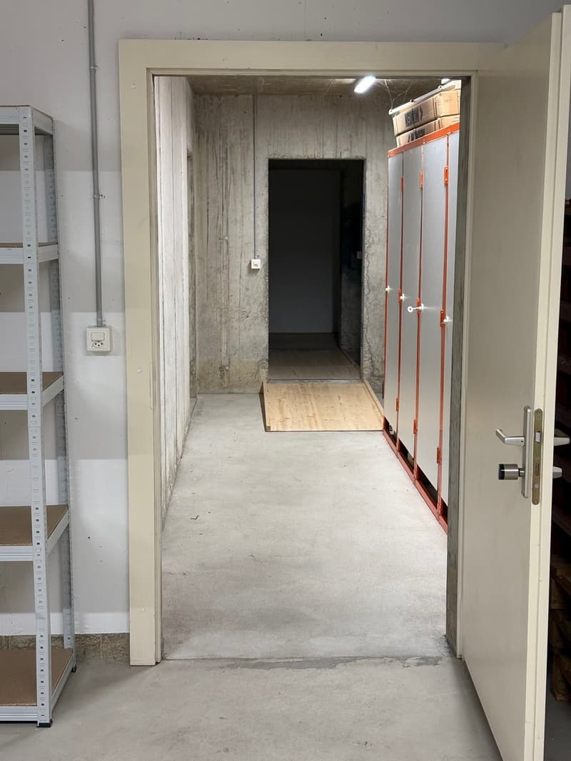 Vielseitiger Gewerberaum mit Atelier-Charakter in Eschenz (4)