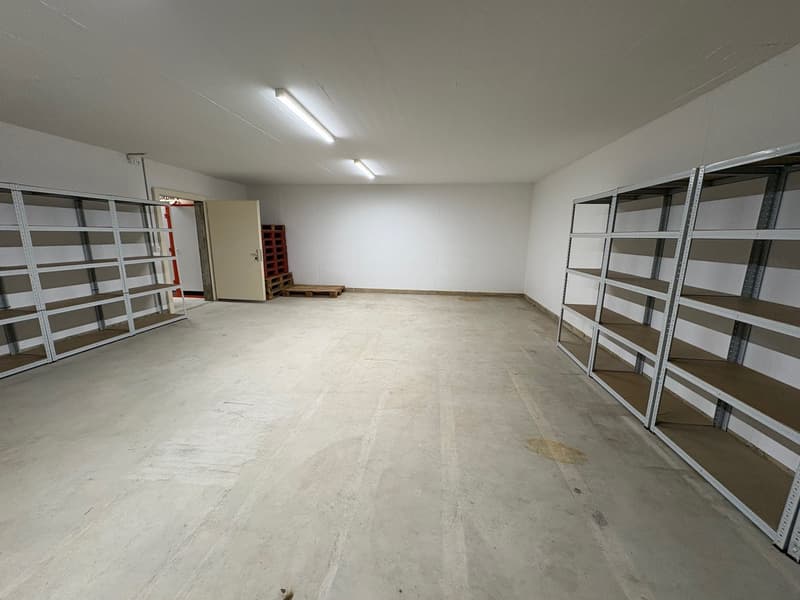 Vielseitiger Gewerberaum mit Atelier-Charakter in Eschenz (1)