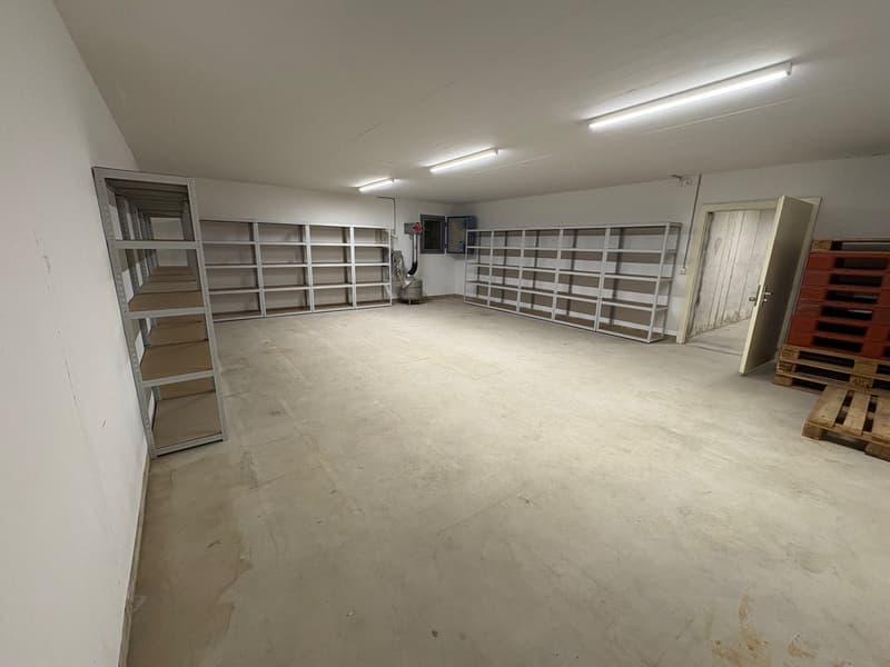 Vielseitiger Gewerberaum mit Atelier-Charakter in Eschenz (2)