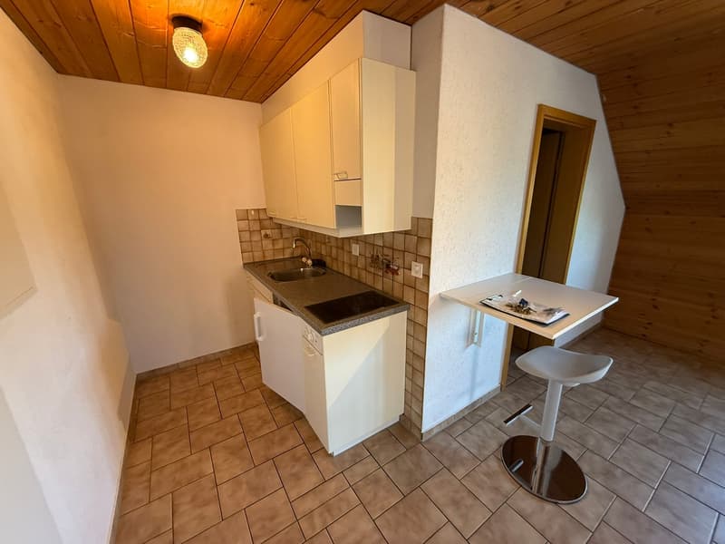 Appartamento di 2 locali accogliente a Forst b. Längenbühl (6)