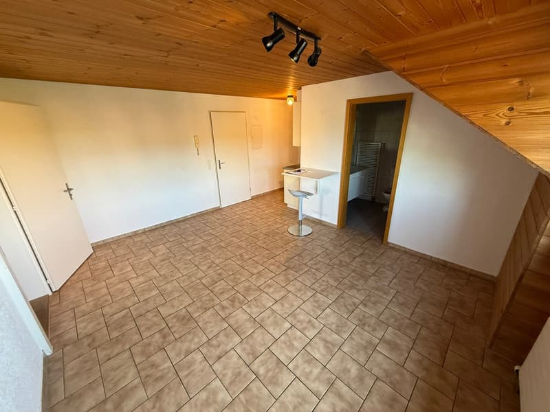 Appartamento di 2 locali accogliente a Forst b. Längenbühl (2)