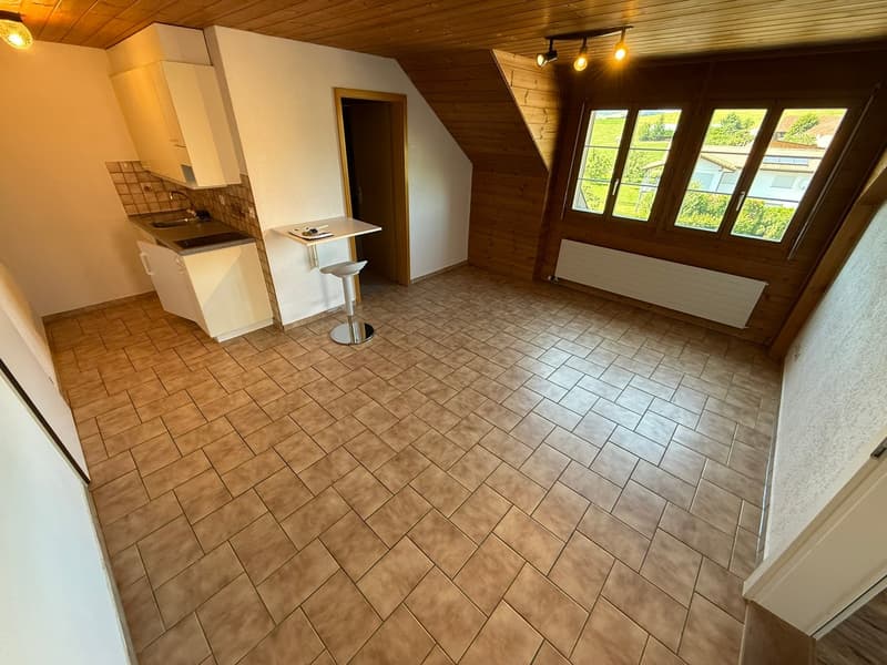 Appartamento di 2 locali accogliente a Forst b. Längenbühl (5)