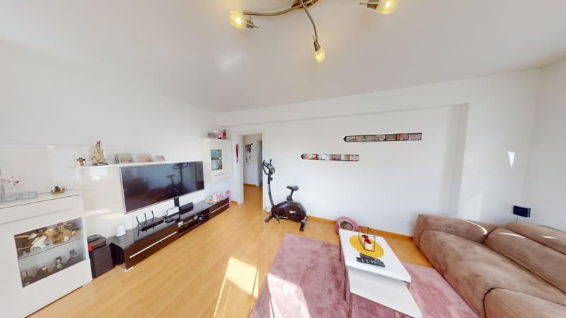 Central multi-family house with large garden (3)