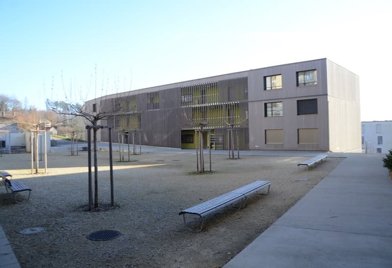Modern multistory building, grey and yellow exterior, glass windows, open ground in front with benches