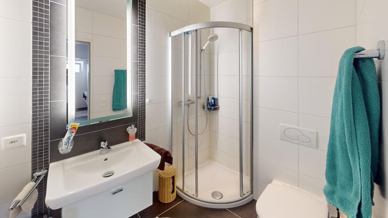 Appartement spacieux dans le centre de Grenchen (7)