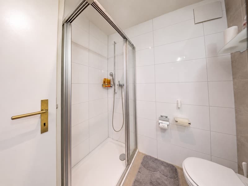 Stilvolle 4.5-Zimmer-Wohnung mit grosszügigem Balkon (11)