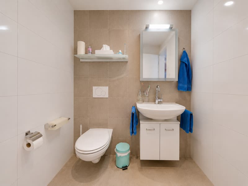 Stilvolle 4.5-Zimmer-Wohnung mit grosszügigem Balkon (10)