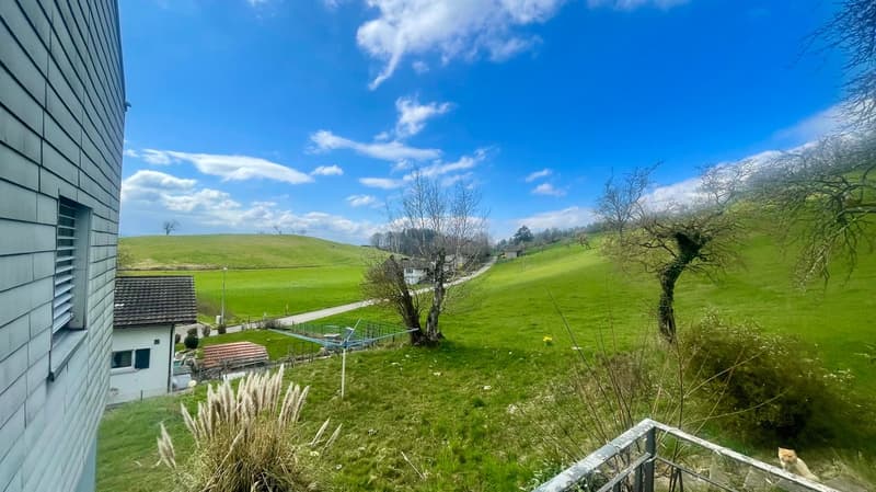 Green hillside with plants and bushes, distant houses, clear sky with clouds, a shed.