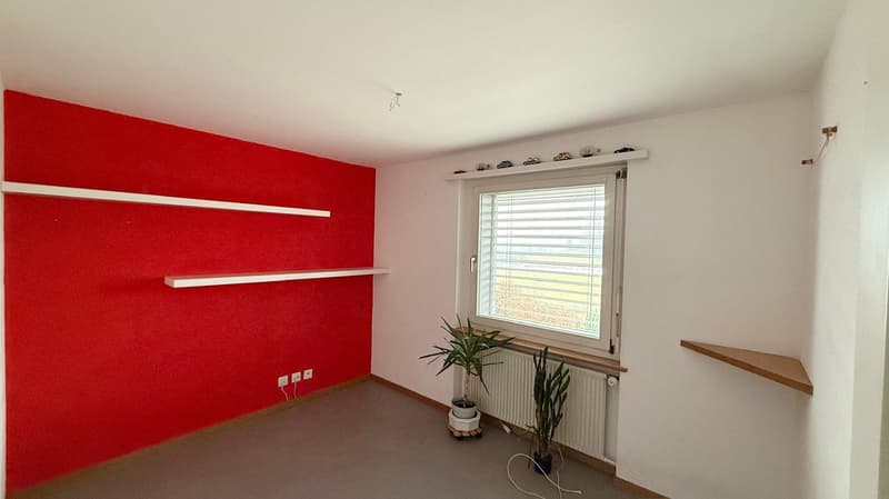empty room with white wall, red wall, two shelves, window, two potted plants, radiator, two electrical outlets