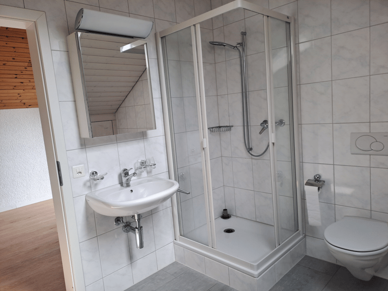 Lichtdurchflutete 5.5 Zimmer-Maisonettewohnung (8)
