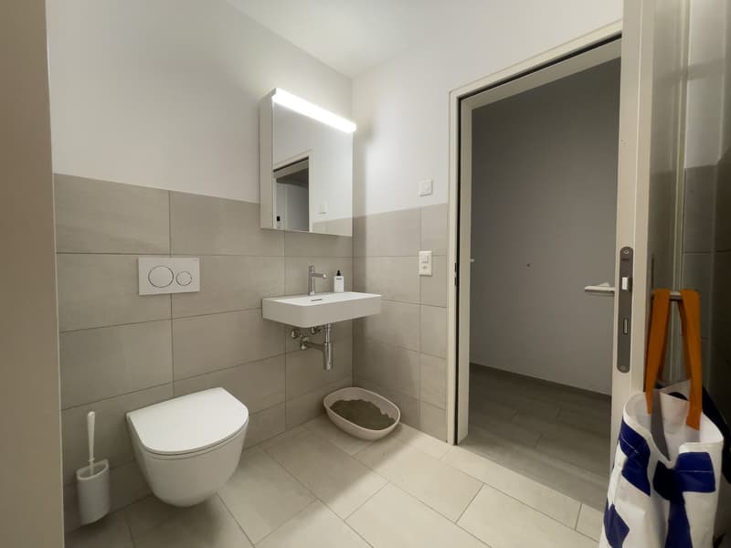 Appartement de 3,5 pièces au rez-de-chaussée avec 1 place de parking à vendre (15)