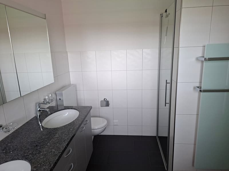 4.5 room attic apartment with direct elevator access (8)