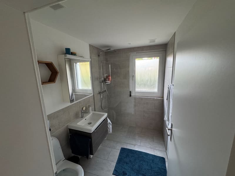 appartamento moderno 3.5 locali CLIMA-COMFORT al piano terra (4)