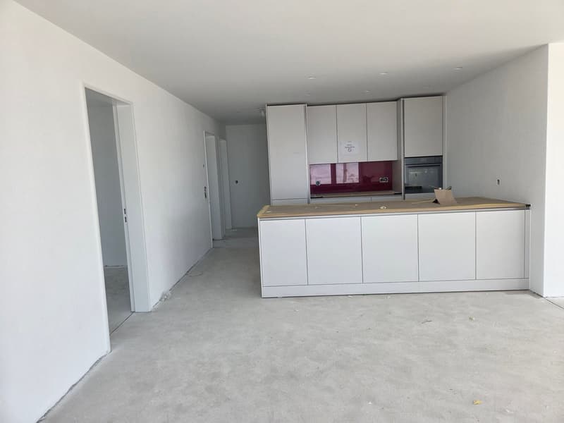 Traumhafte 4.5 Zimmer-Attikawohnung (Neubau) im Eigentumsstandard (1)
