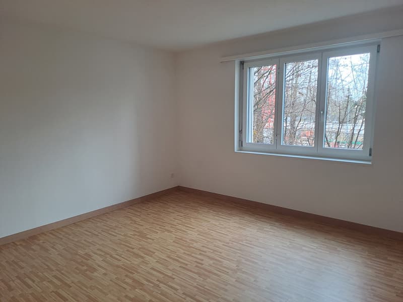 4½ Zimmer • Erdgeschoss • Ruhige Lage (6)