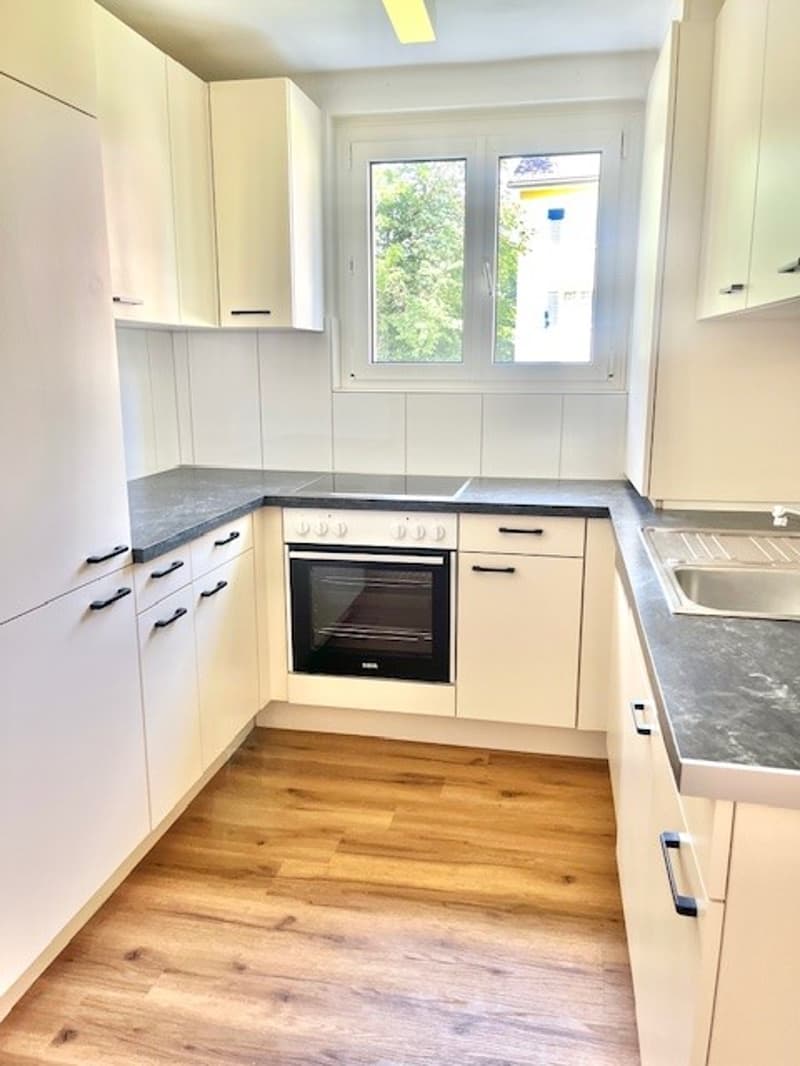 Appartement de 4 pièces convivial pour les familles avec balcon à St. Gallen (3)