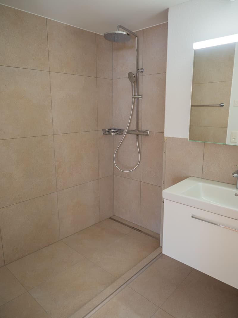 Premier loyer après rénovation complète – Habitation moderne avec aménagement intérieur intemporel (2)