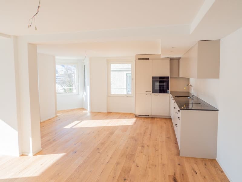 Premier loyer après rénovation complète – Habitation moderne avec aménagement intérieur intemporel (1)