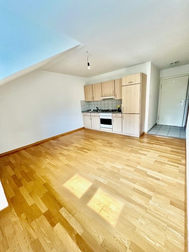 2-Zimmer-Wohnung in St. Gallen mit guter Anbindung (4)