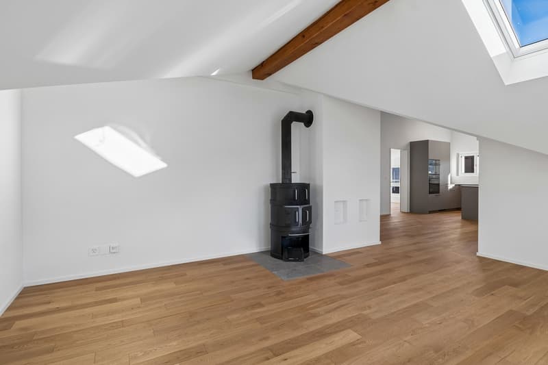 Grosszügige 3.5 Zimmer Dachwohnung (7)