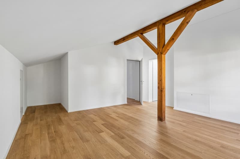 Grosszügige 3.5 Zimmer Dachwohnung (3)