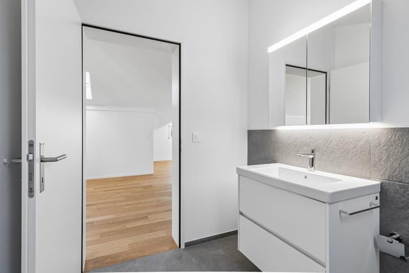 Grosszügige 3.5 Zimmer Dachwohnung (21)